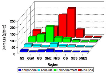 biomass of species by region