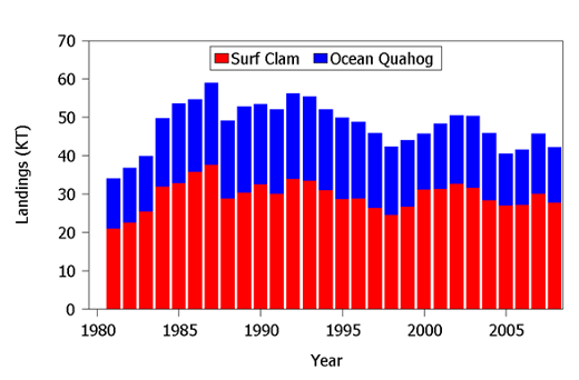 surf clam and quahog landings