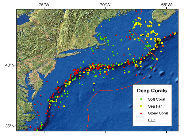 coral distribution in NE US and Canadian waters