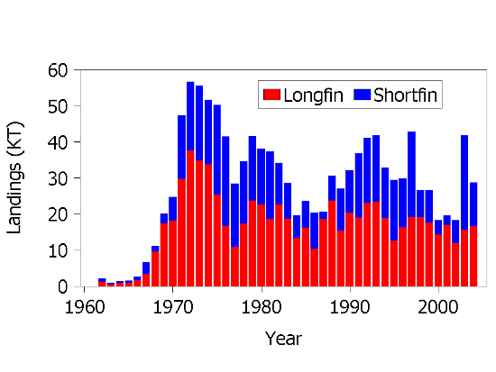 chart showing shorfin and longfin squid landings